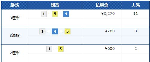 日刊スポーツ７５周年記念第２８回ブルースターカップ